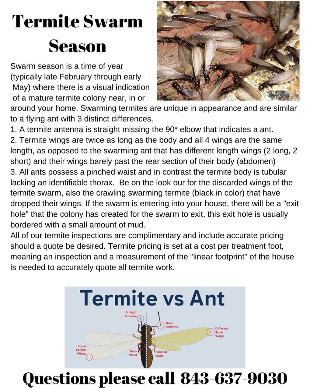 Termite Swarm Season Treatment