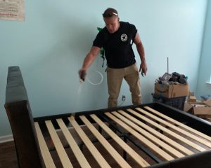 Bed Bug Treatment
