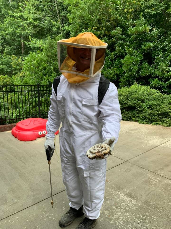 Bee Removal