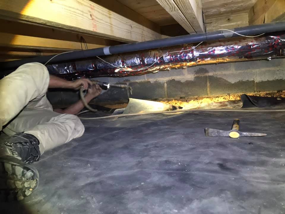 Crawl Space Pest Control 