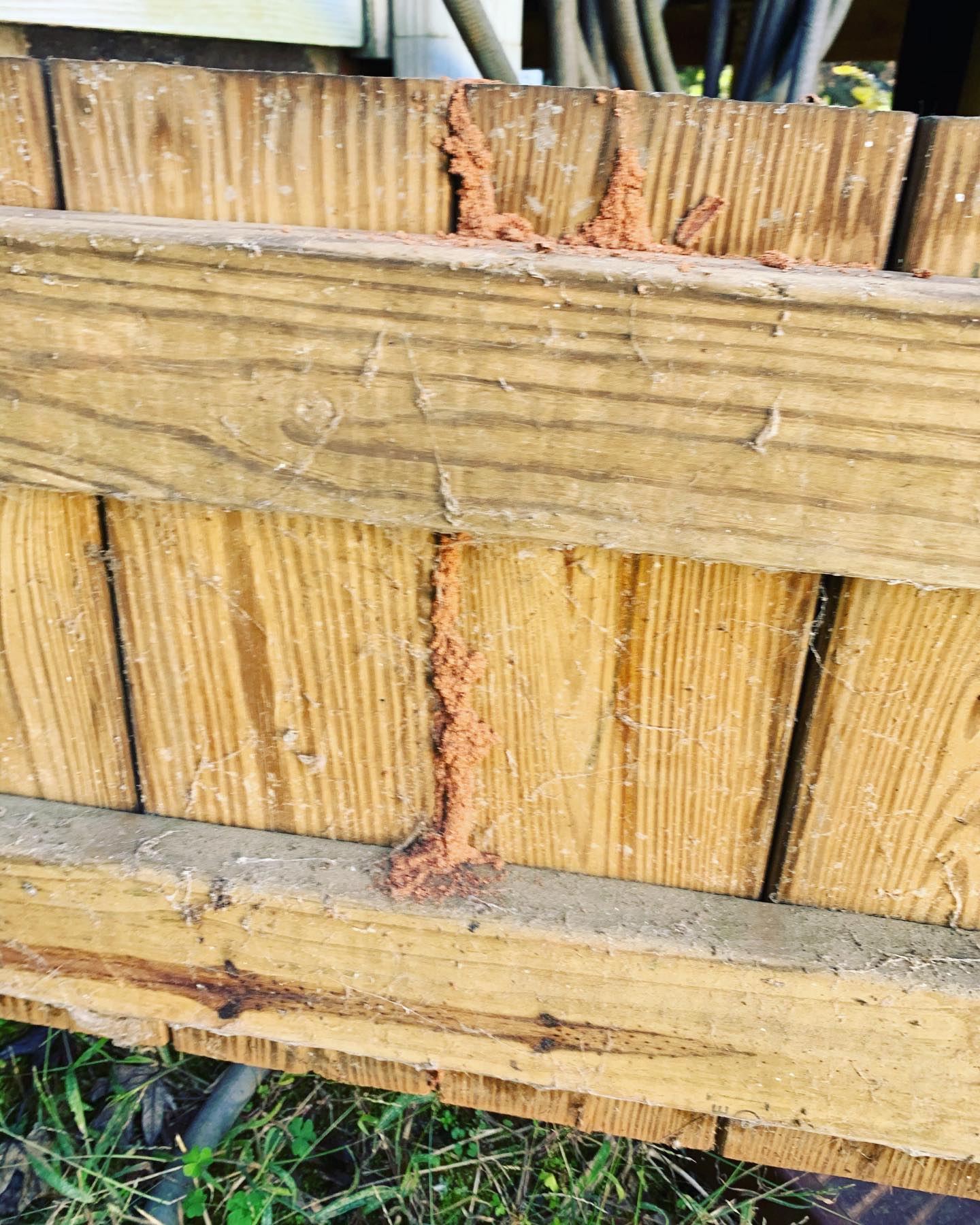 Fence Termite Removal