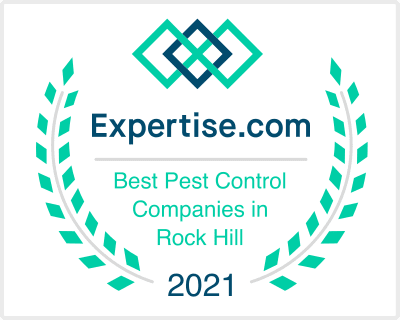 Best Pest Control Service in Rock Hill SC